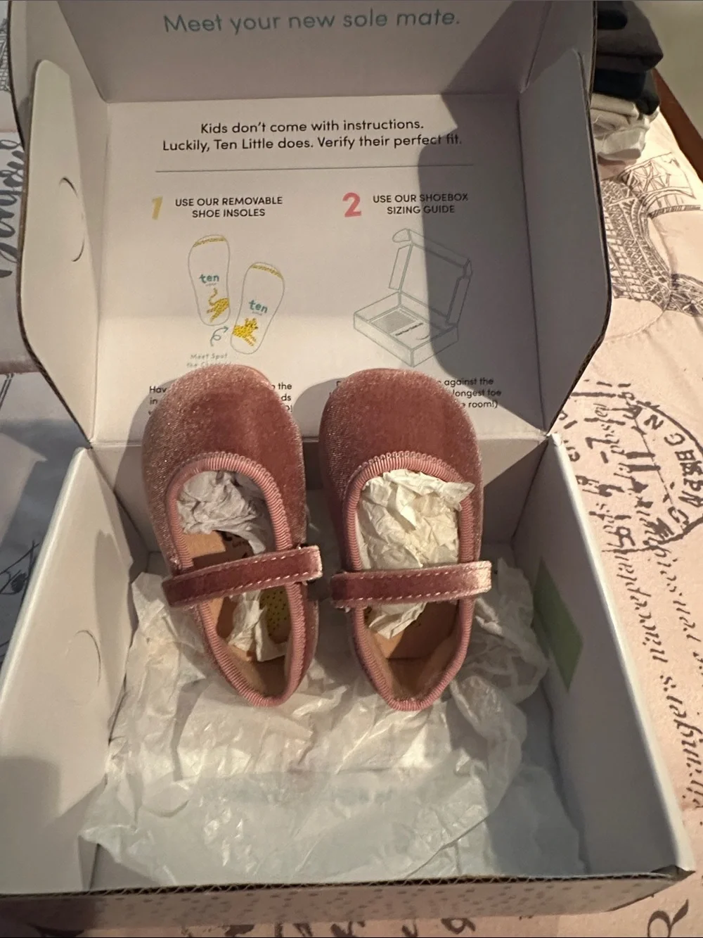 Ten Little Velvet Ballet Flats in Dusty Rose size 4(baby girl)